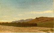 Albert Bierstadt The_Plains_Near_Fort_Laramie china oil painting artist